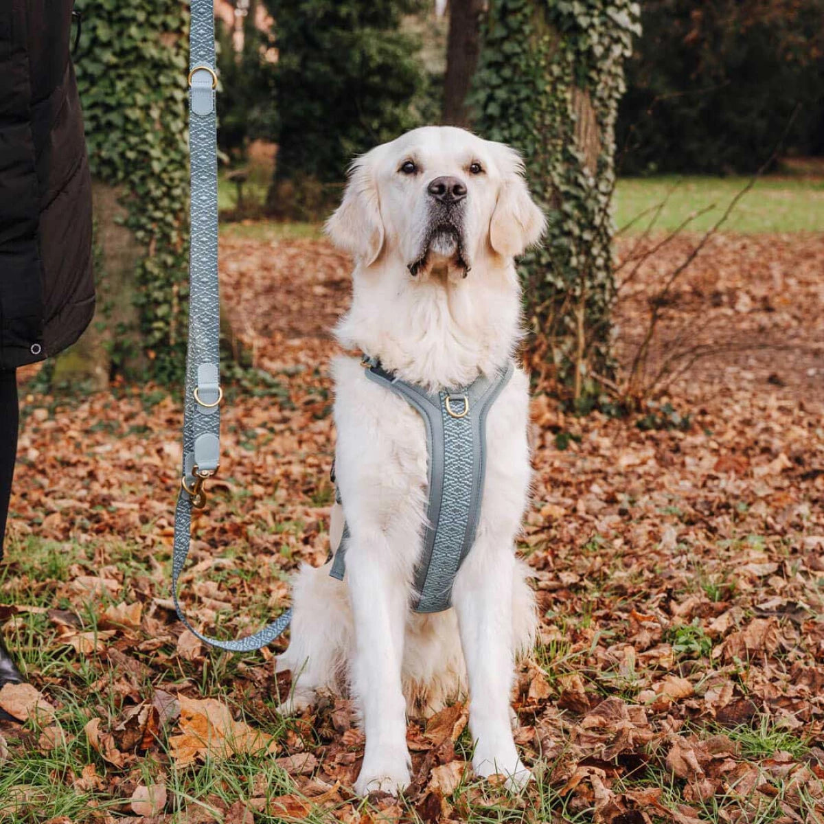 Knoten für vier Pfoten Hundegeschirr Anthrazit Hey Lana