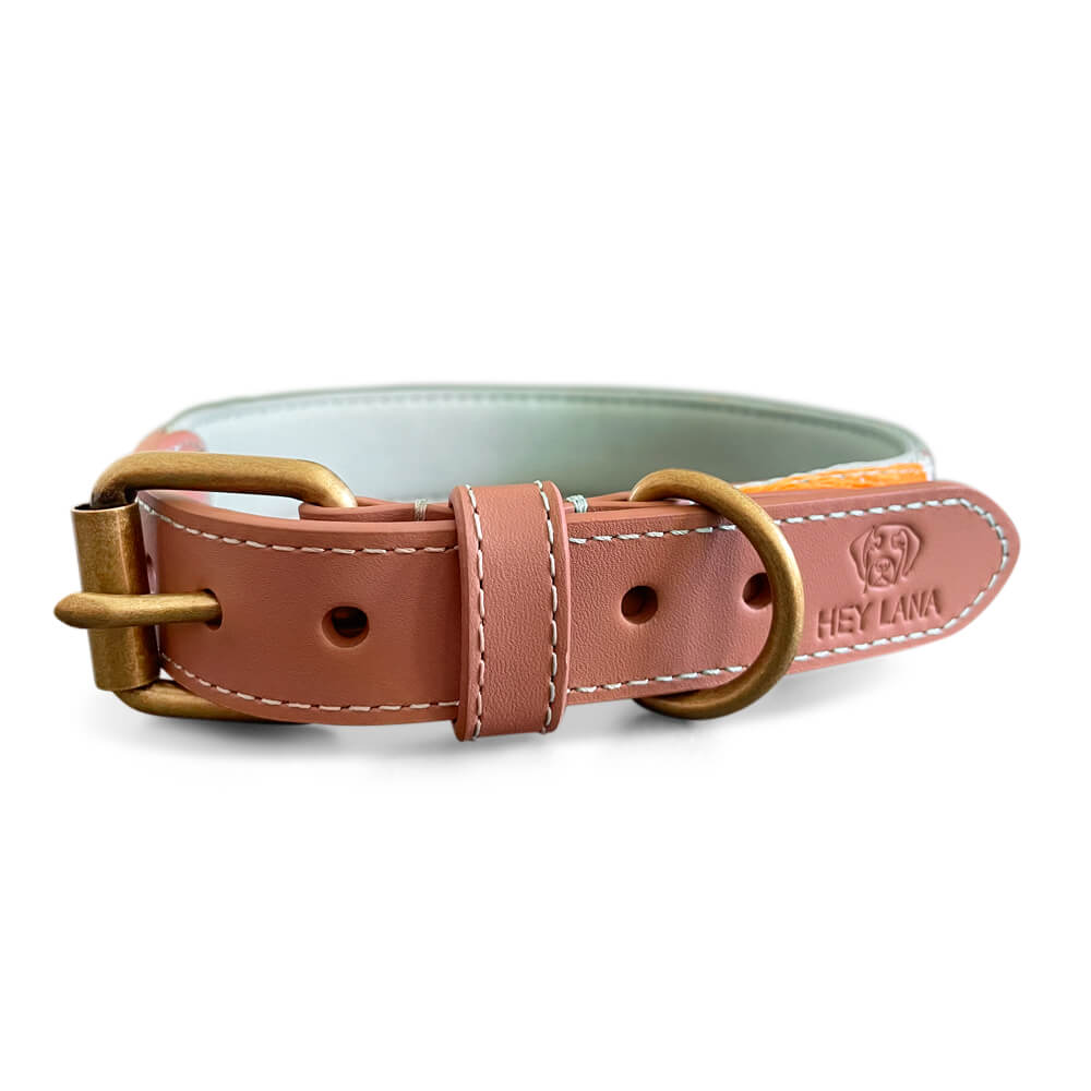 Knoten für vier Pfoten Hundehalsband  mint orange Hey Lana
