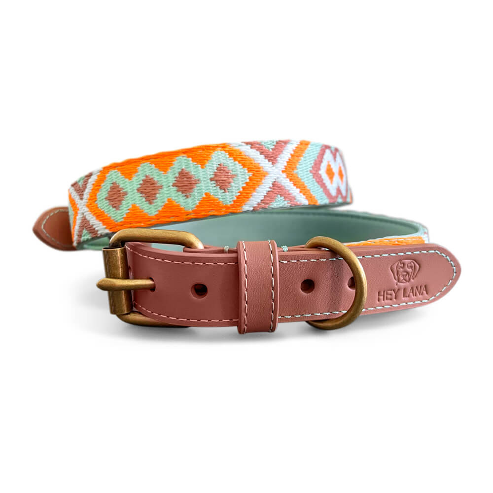 Knoten für vier Pfoten Hundehalsband  mint orange Hey Lana