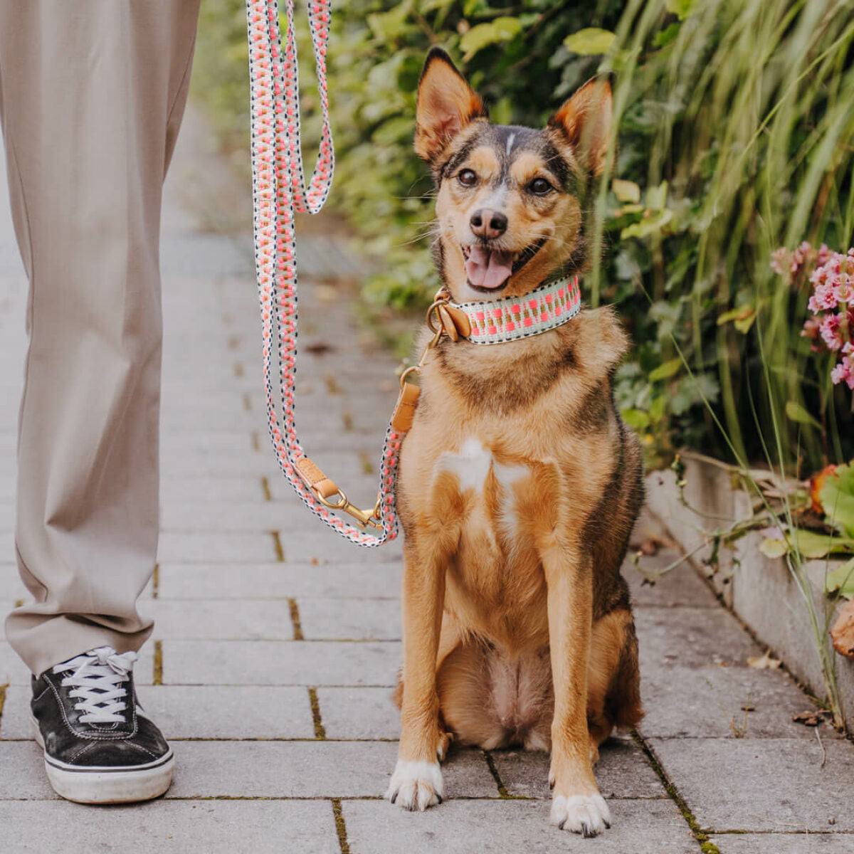 Knoten für vier Pfoten Hundehalsband  Pink Beige Hey Lana