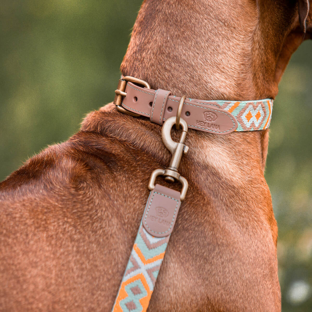 Knoten für vier Pfoten Hundehalsband  mint orange Hey Lana